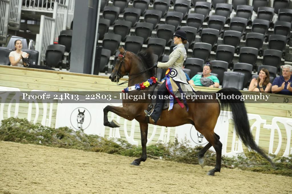 Proof 24R13_22803