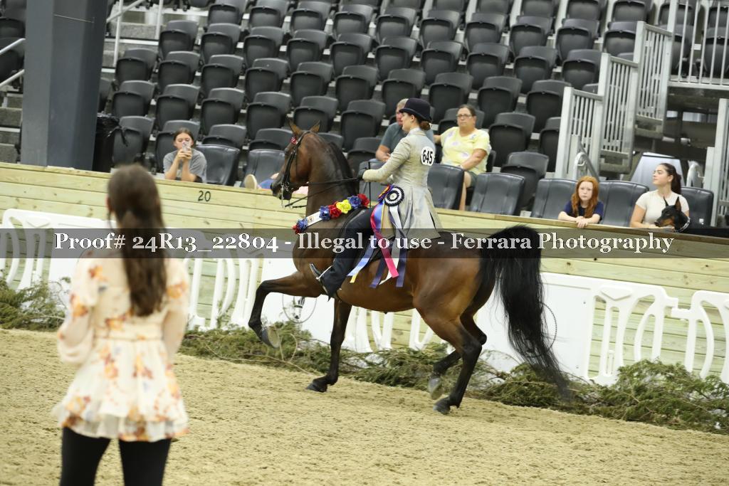 Proof 24R13_22804