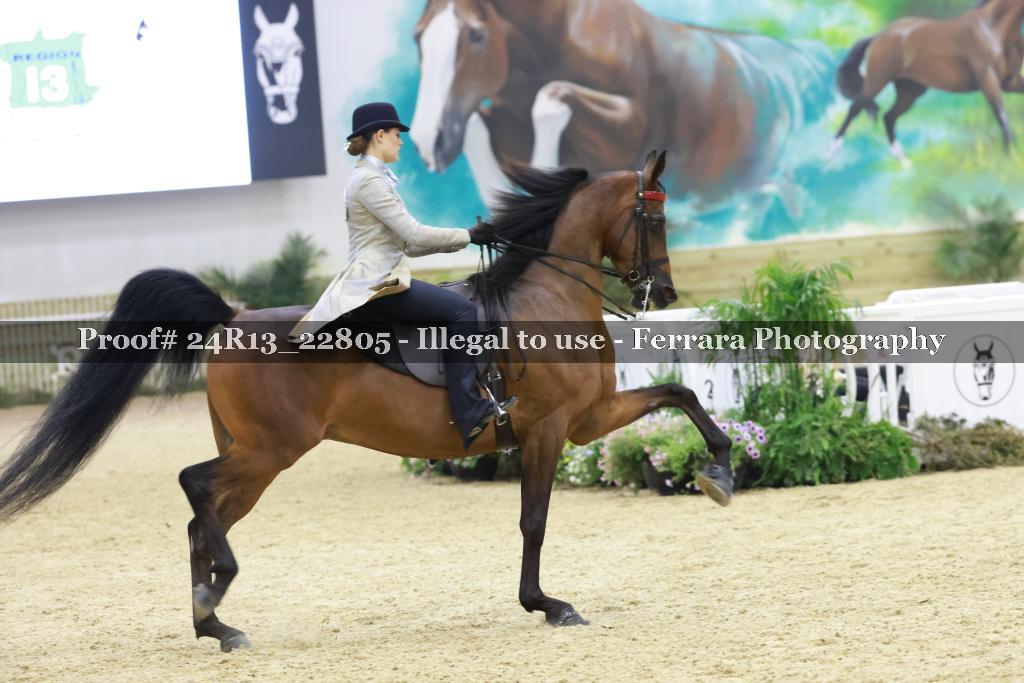 Proof 24R13_22805