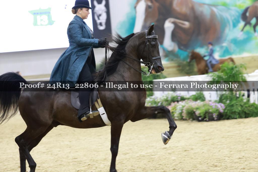 Proof 24R13_22806
