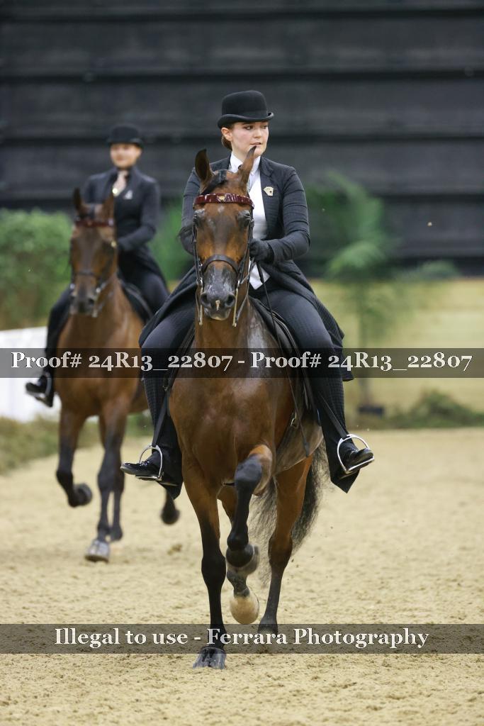 Proof 24R13_22807