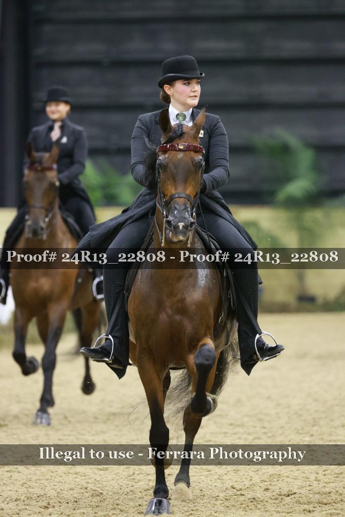 Proof 24R13_22808
