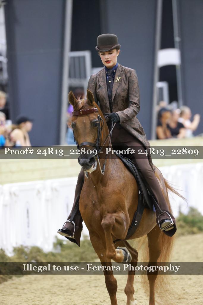 Proof 24R13_22809