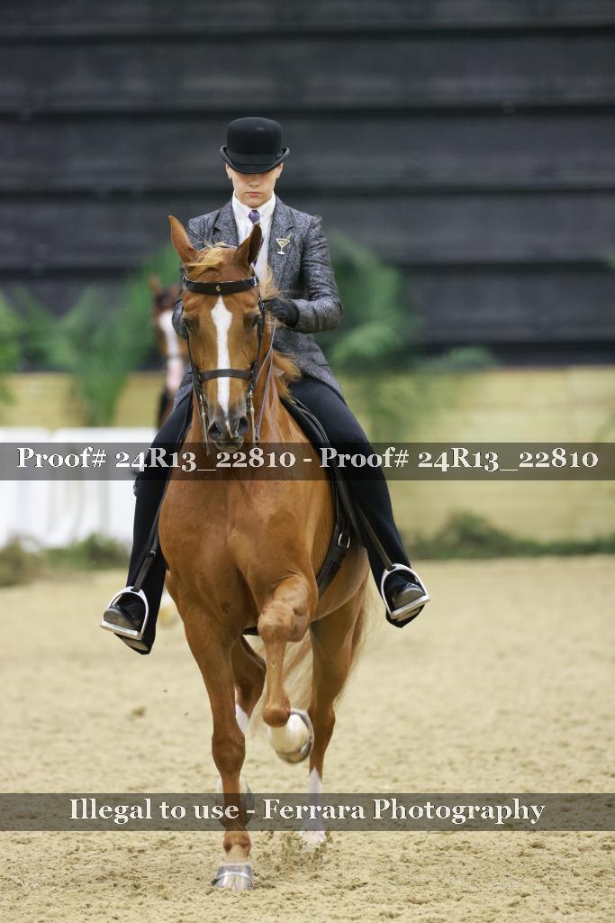 Proof 24R13_22810