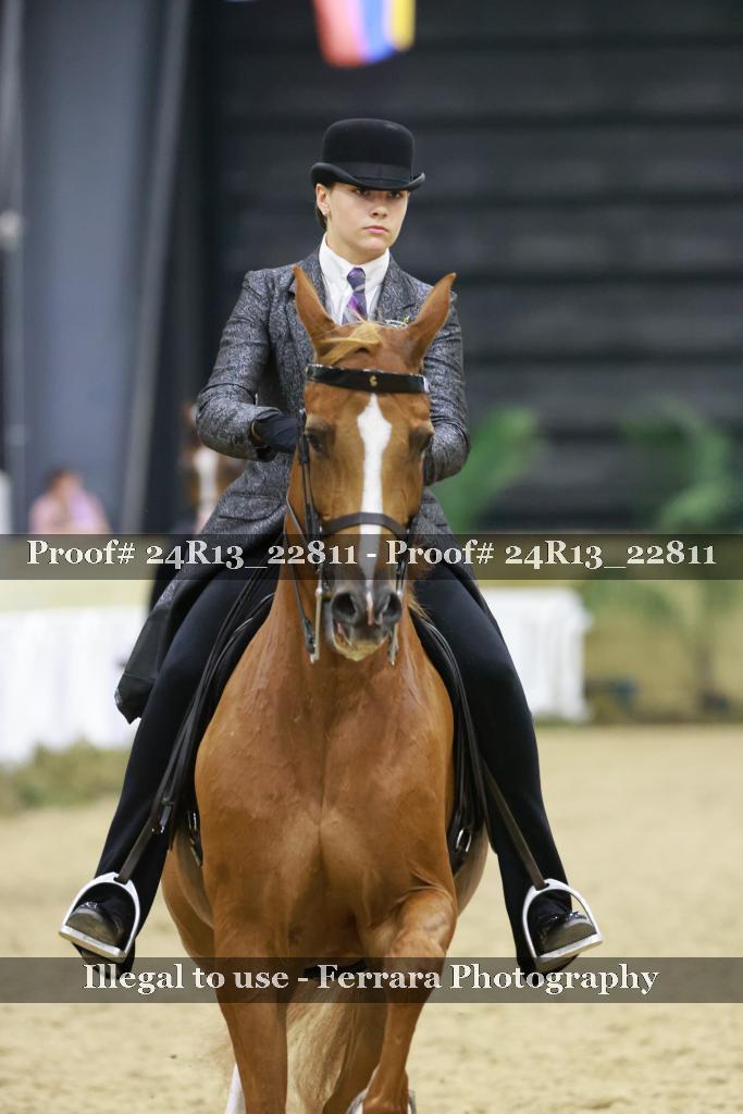 Proof 24R13_22811
