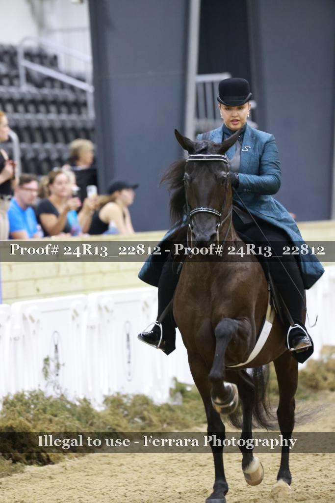 Proof 24R13_22812