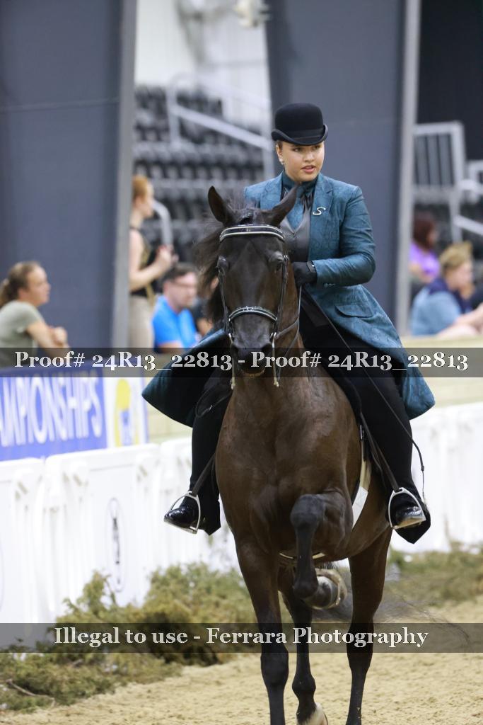 Proof 24R13_22813