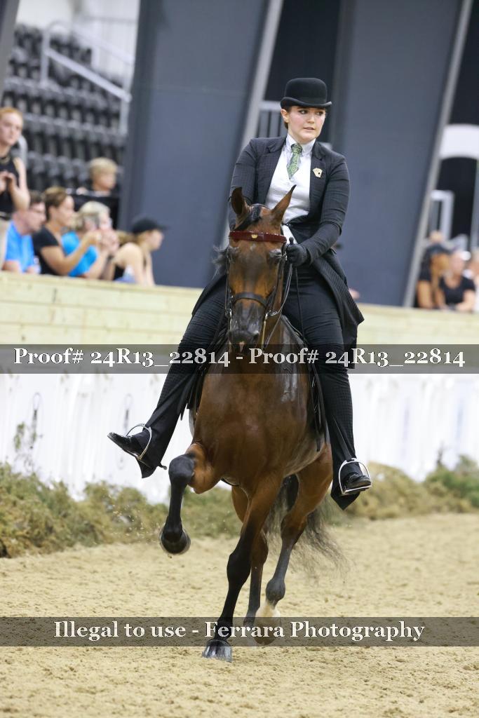 Proof 24R13_22814