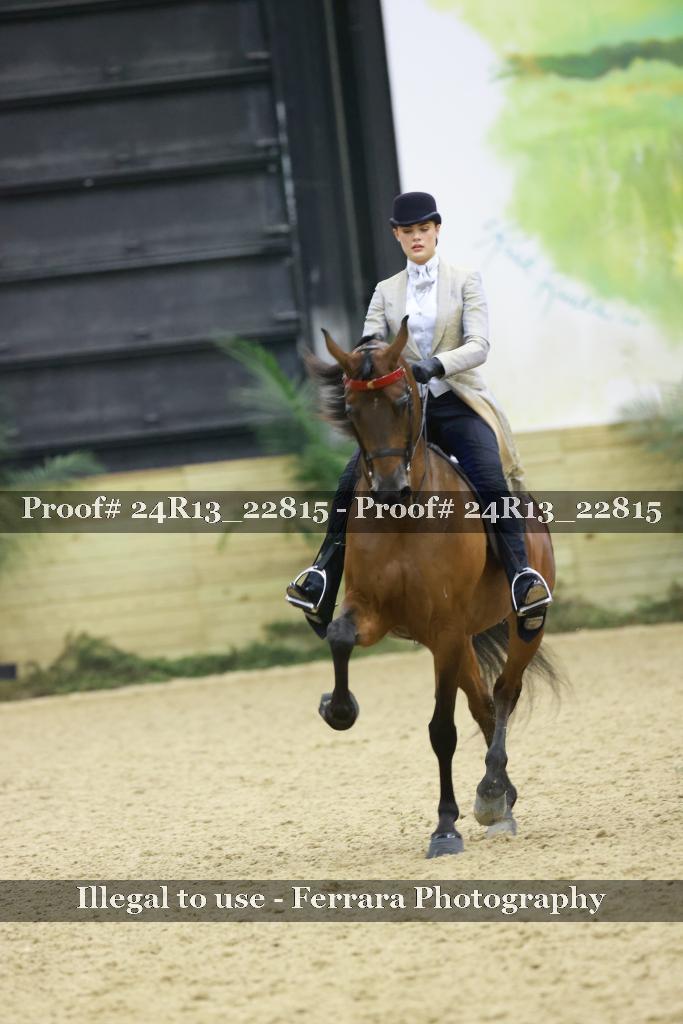 Proof 24R13_22815