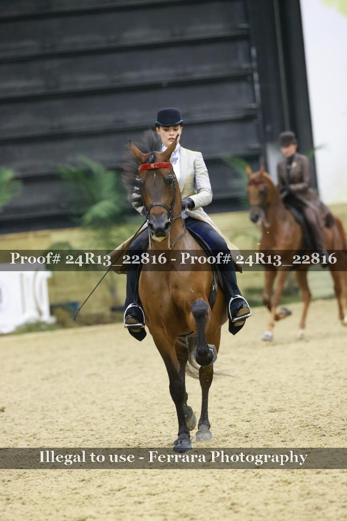 Proof 24R13_22816