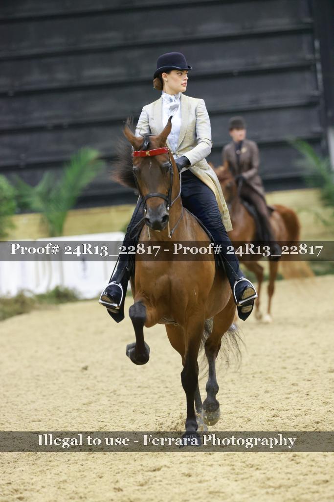 Proof 24R13_22817