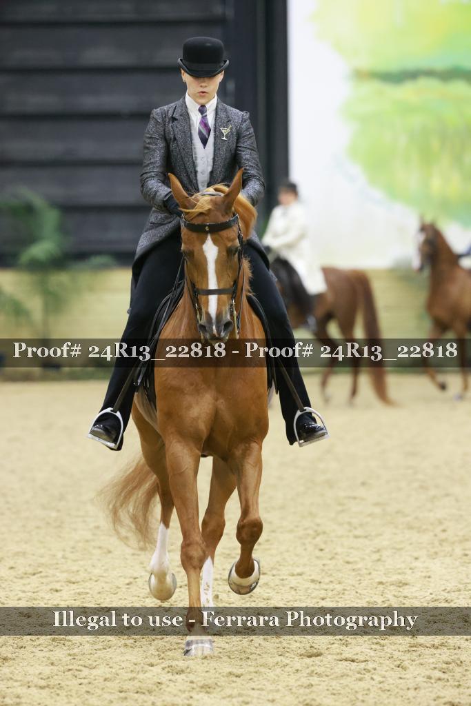Proof 24R13_22818
