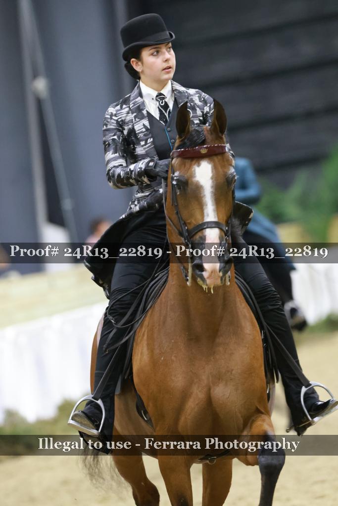 Proof 24R13_22819