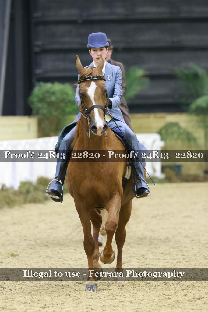 Proof 24R13_22820