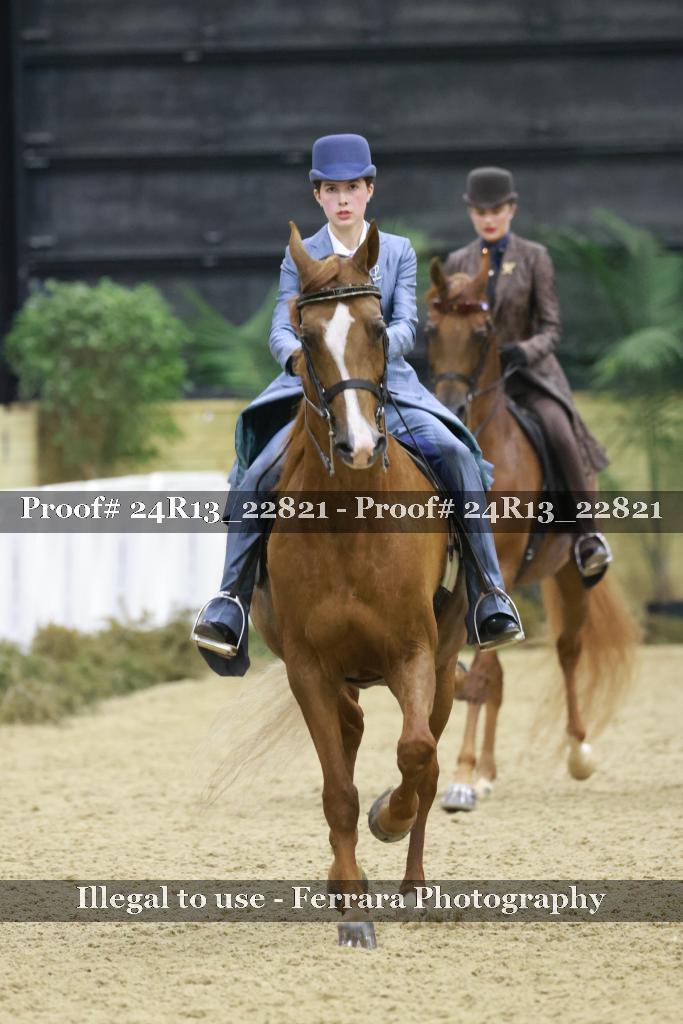 Proof 24R13_22821