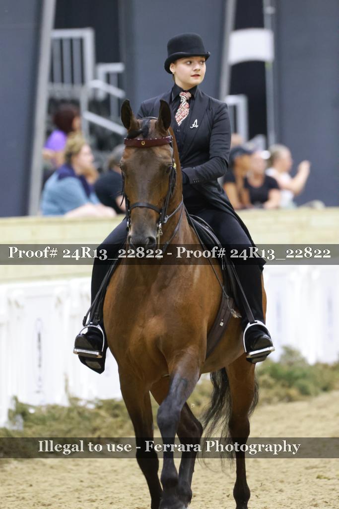 Proof 24R13_22822