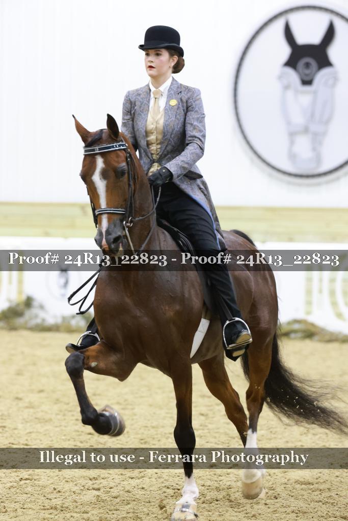 Proof 24R13_22823