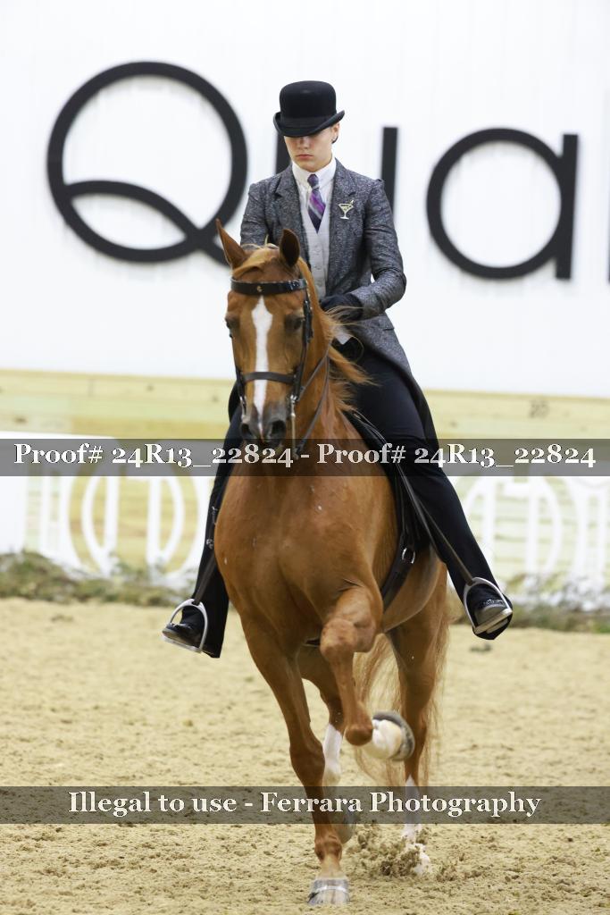 Proof 24R13_22824