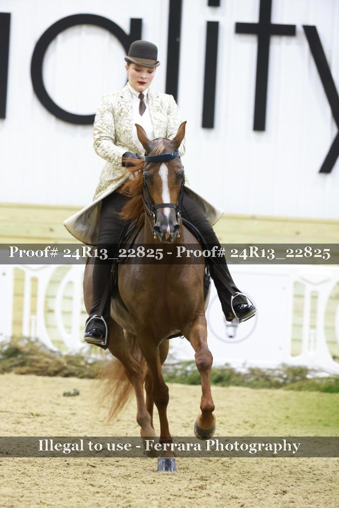 Proof 24R13_22825
