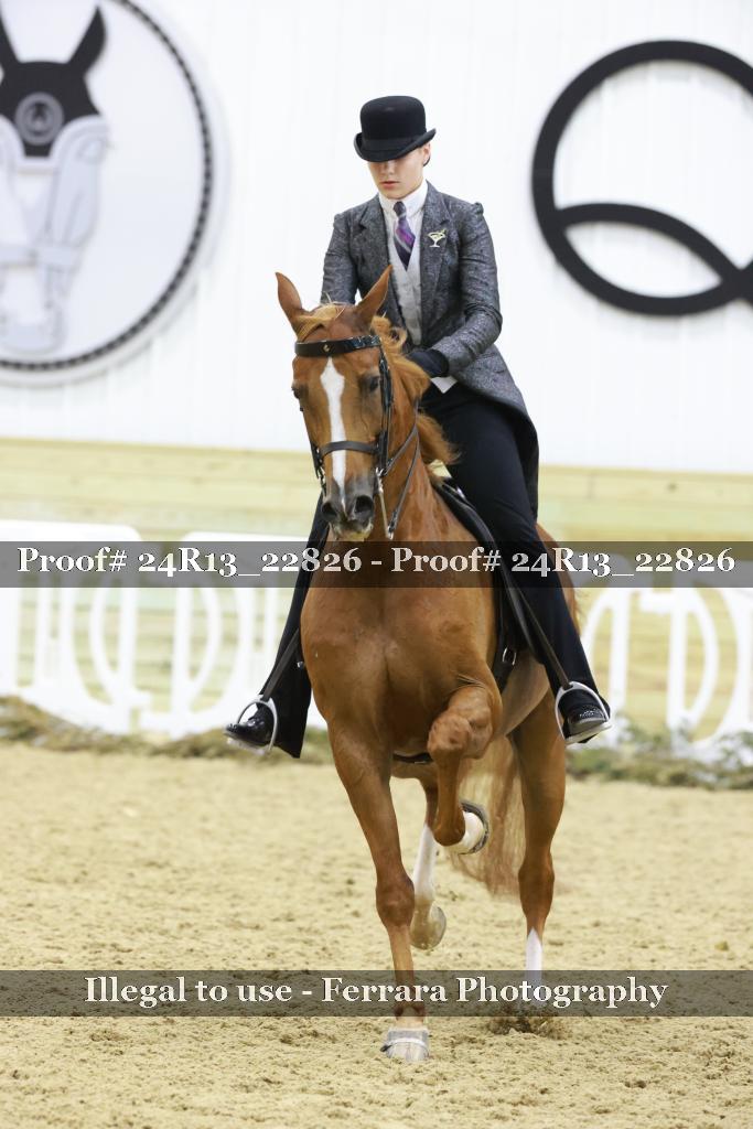 Proof 24R13_22826