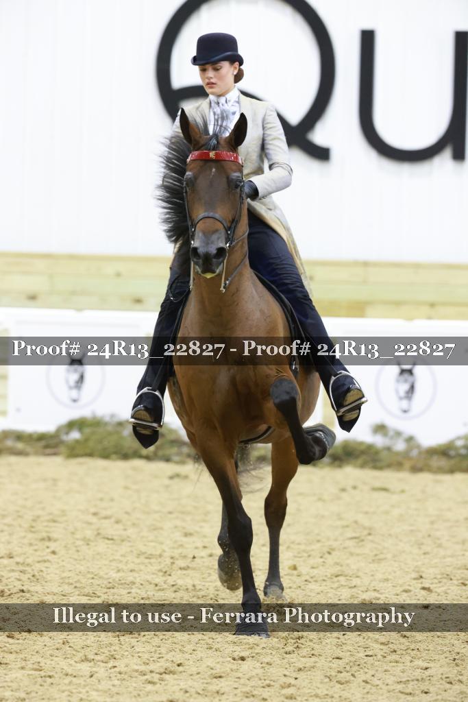 Proof 24R13_22827