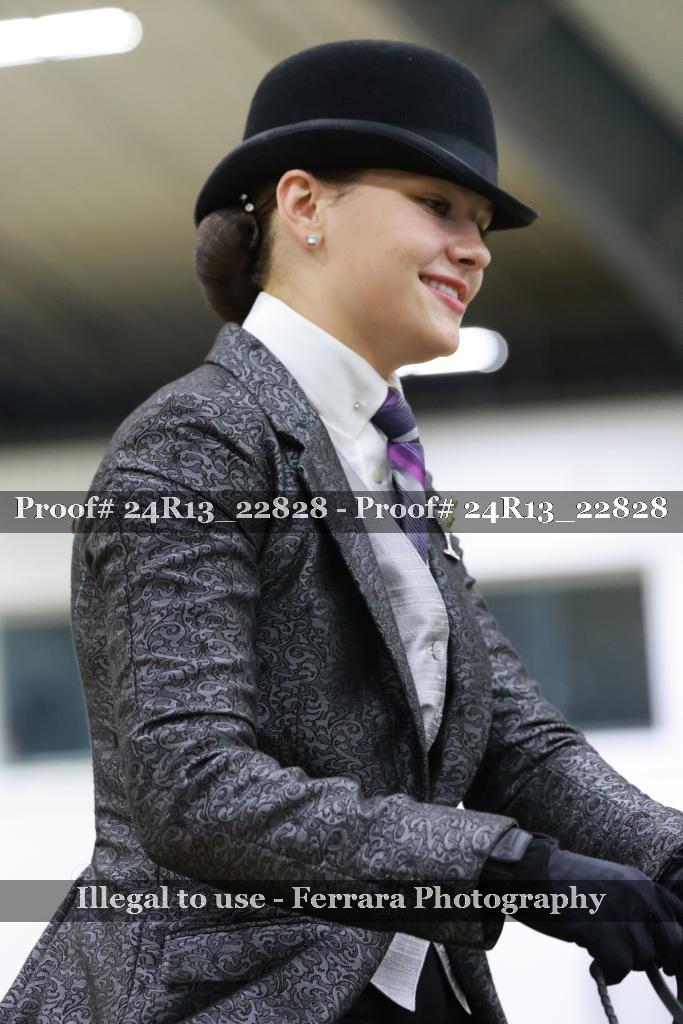 Proof 24R13_22828