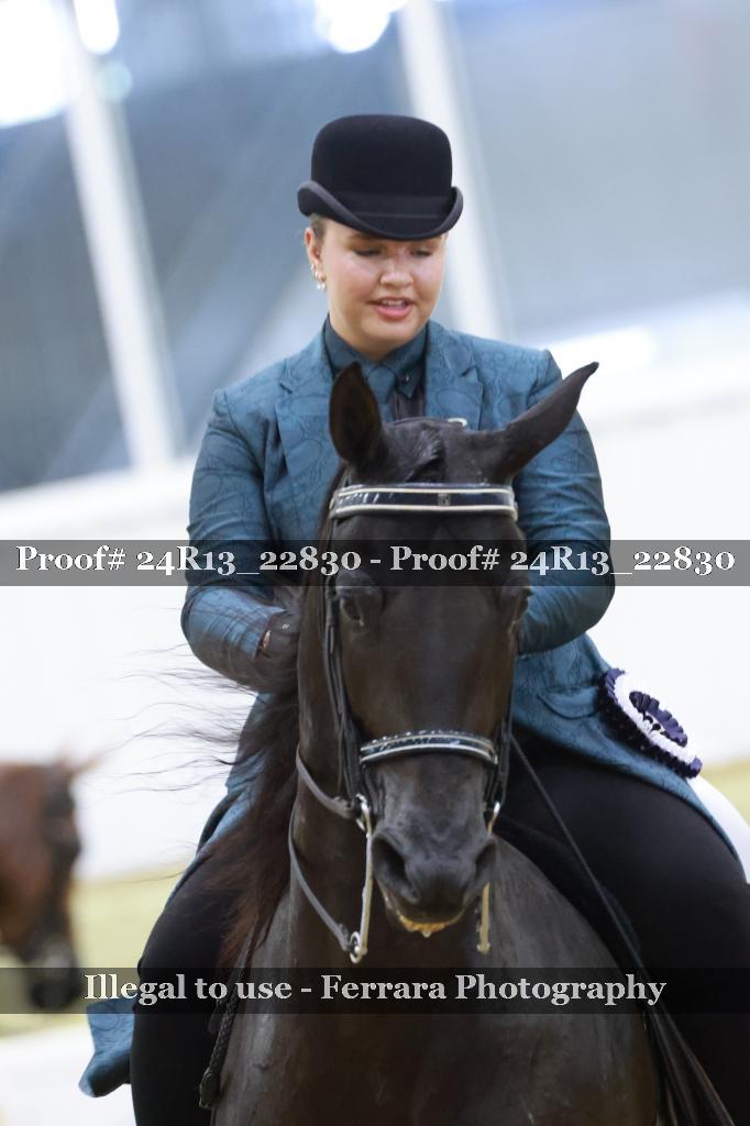 Proof 24R13_22830