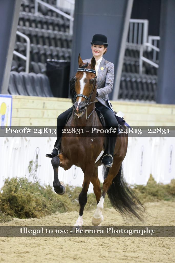 Proof 24R13_22831