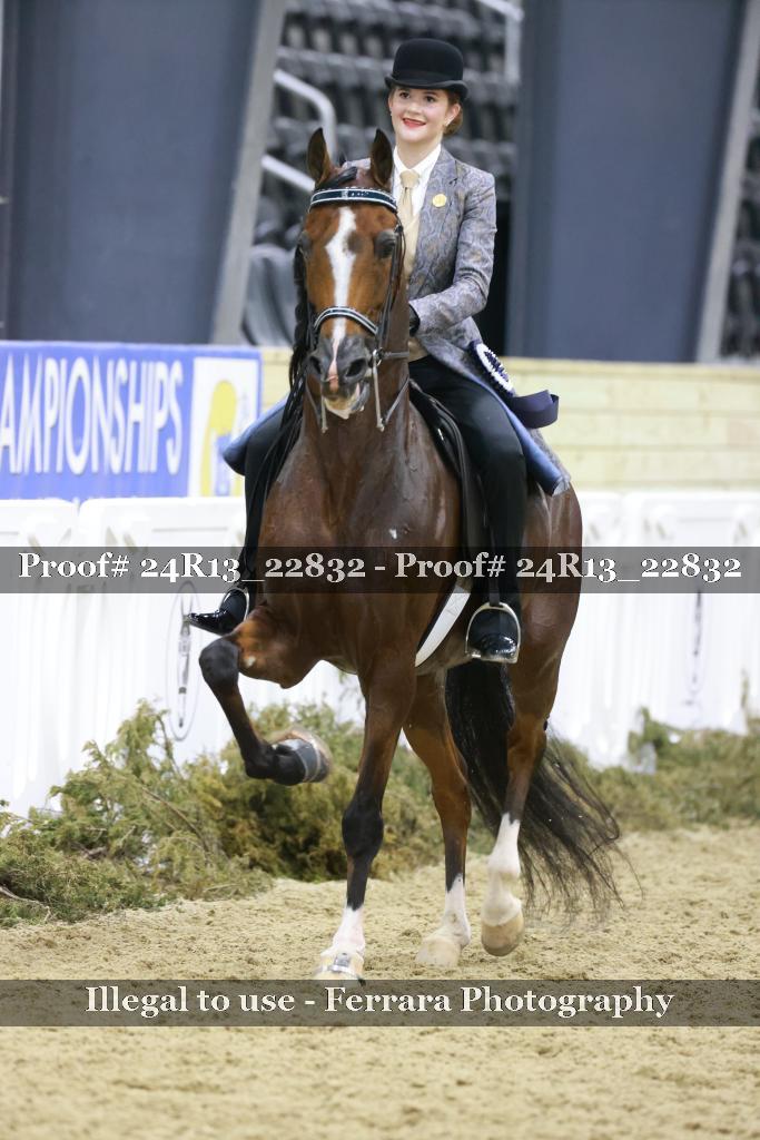 Proof 24R13_22832
