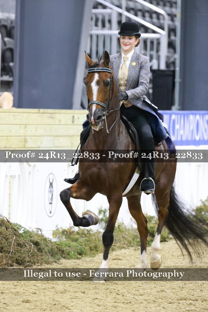 Proof 24R13_22833