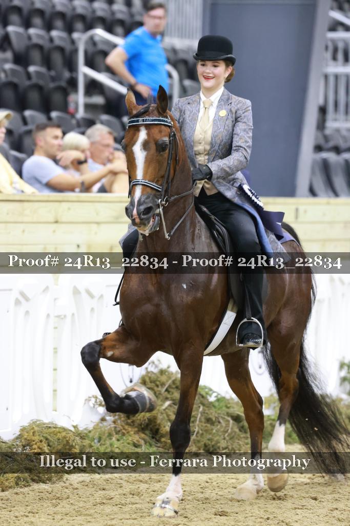 Proof 24R13_22834