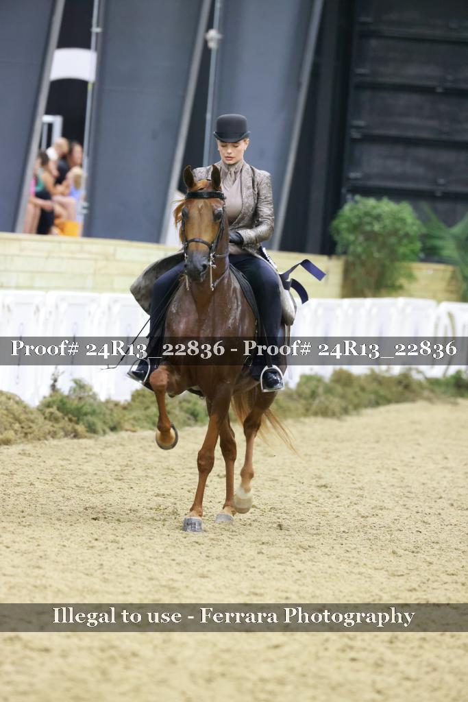 Proof 24R13_22836
