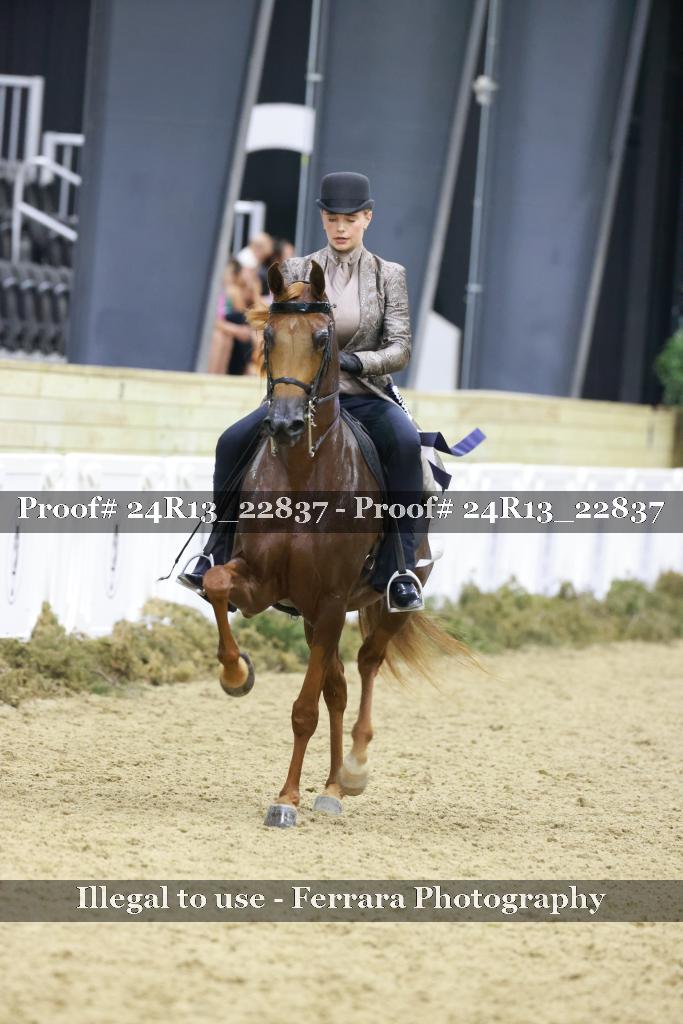 Proof 24R13_22837