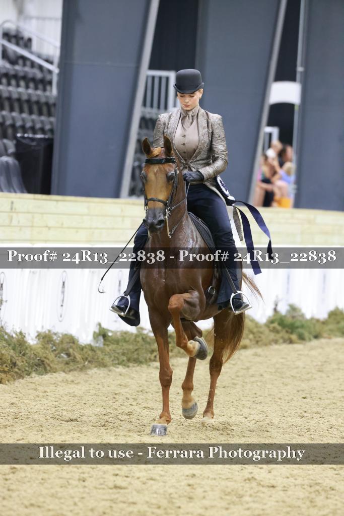 Proof 24R13_22838