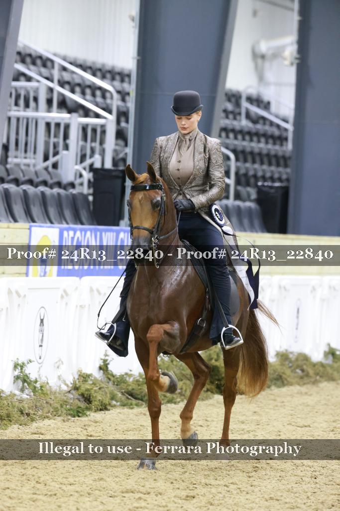 Proof 24R13_22840