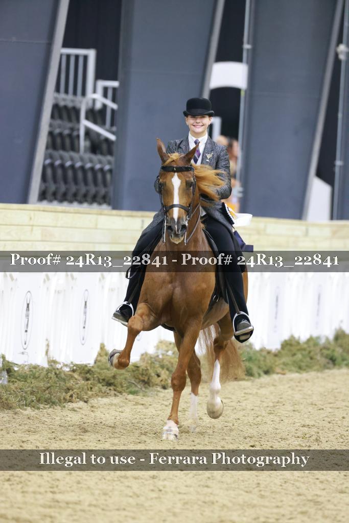 Proof 24R13_22841