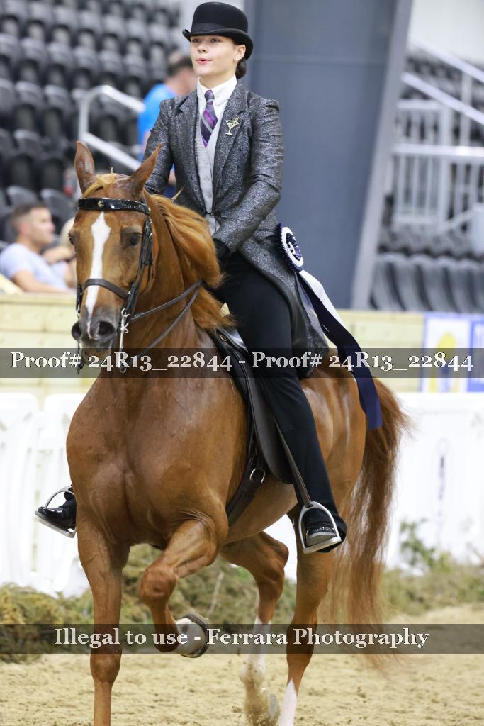 Proof 24R13_22844