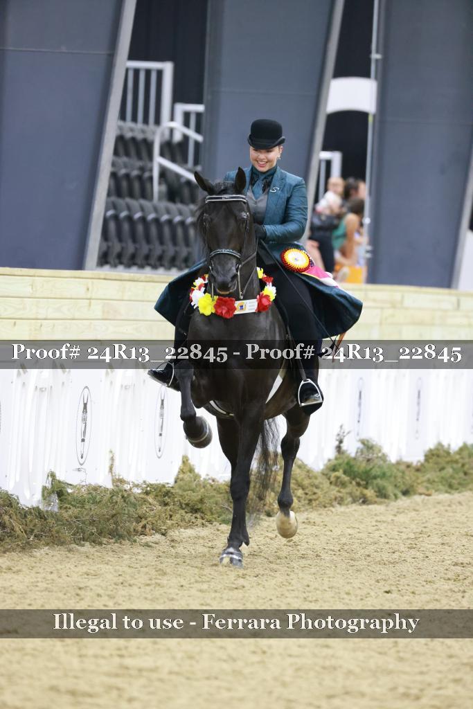 Proof 24R13_22845