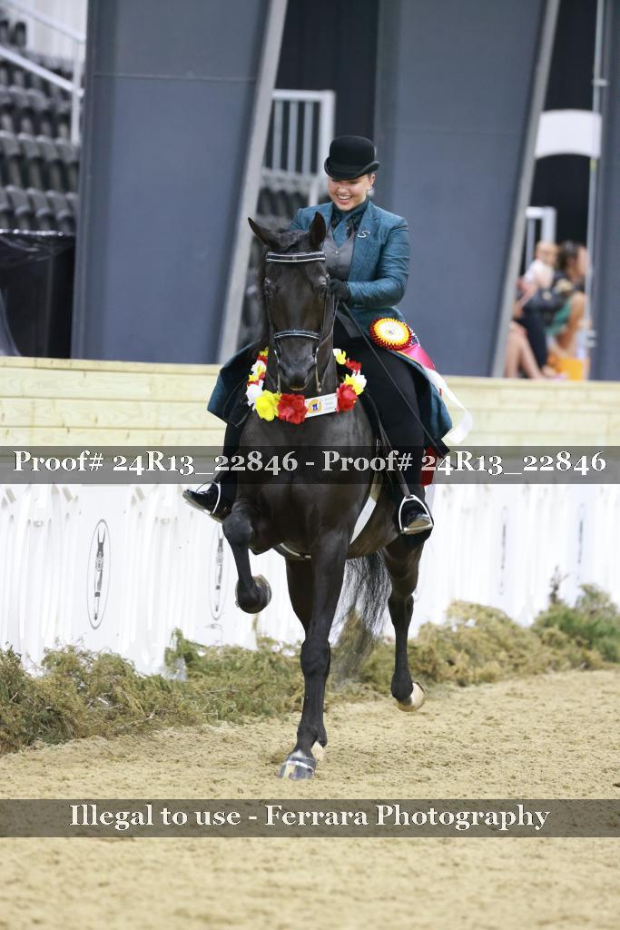 Proof 24R13_22846