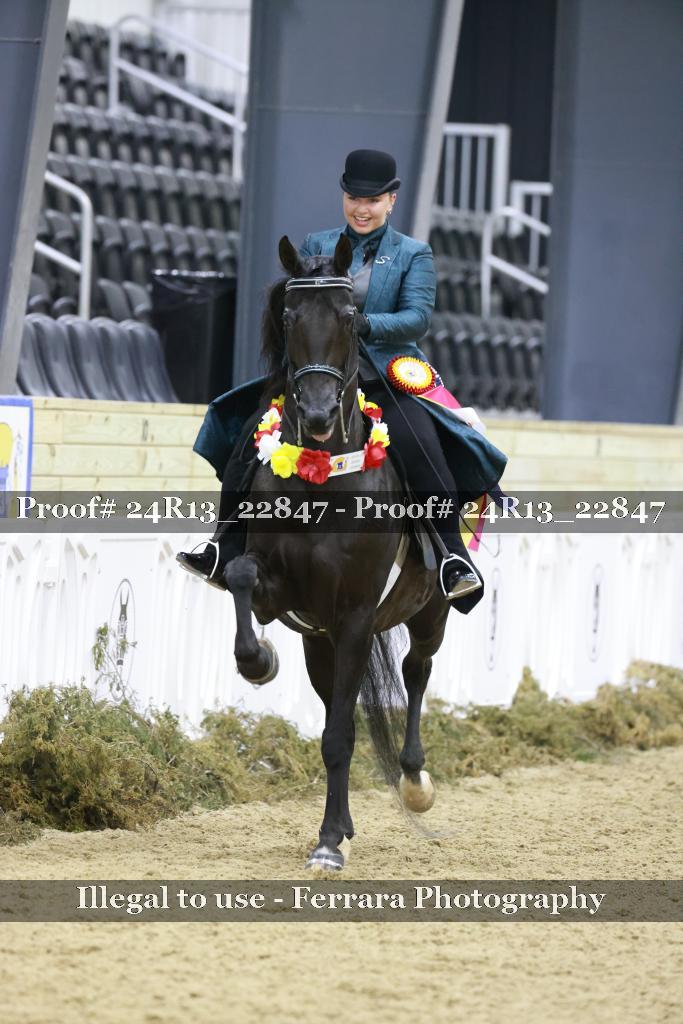 Proof 24R13_22847