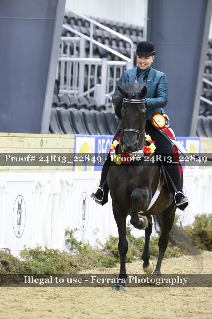 Proof 24R13_22849
