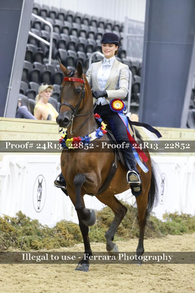 Proof 24R13_22852