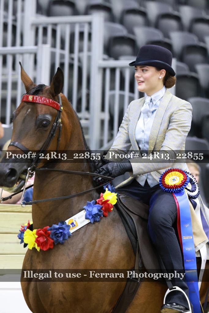Proof 24R13_22855