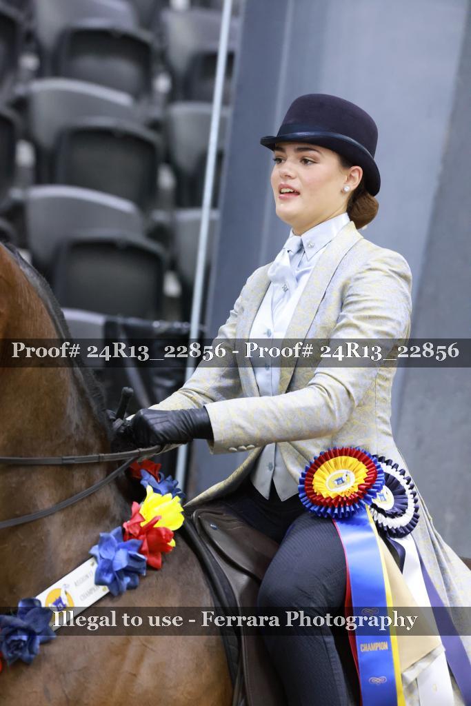 Proof 24R13_22856