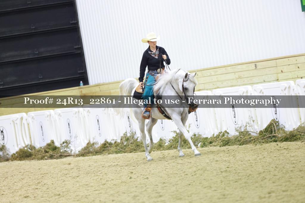 Proof 24R13_22861