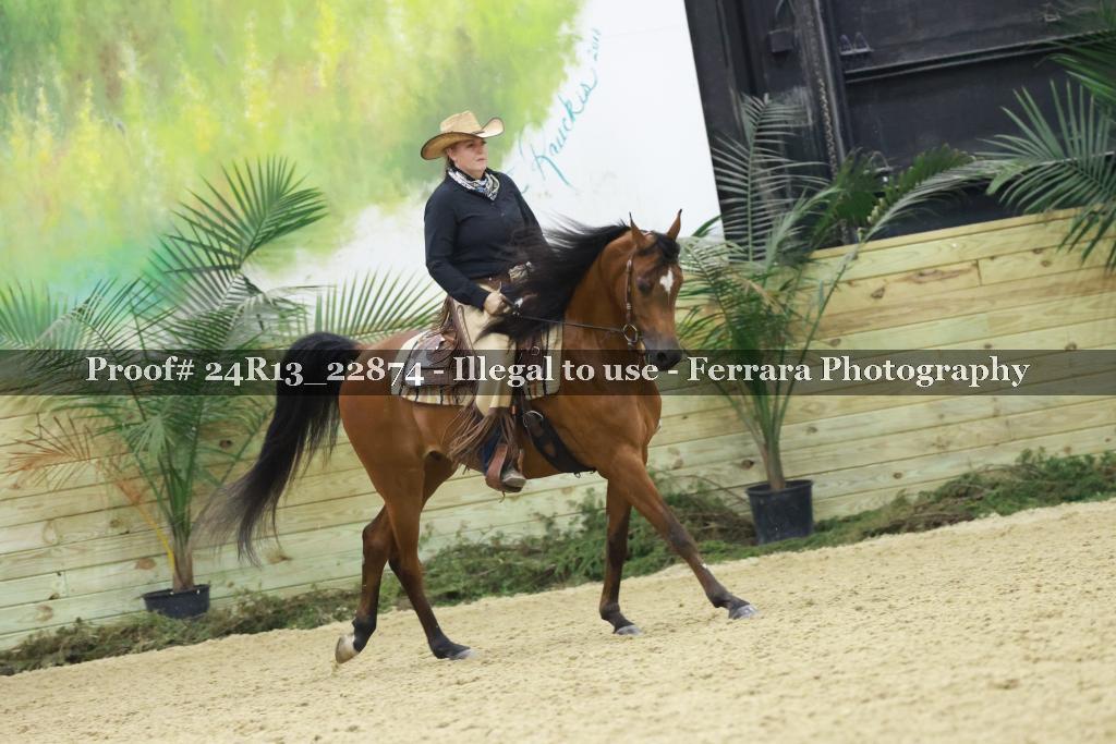 Proof 24R13_22874