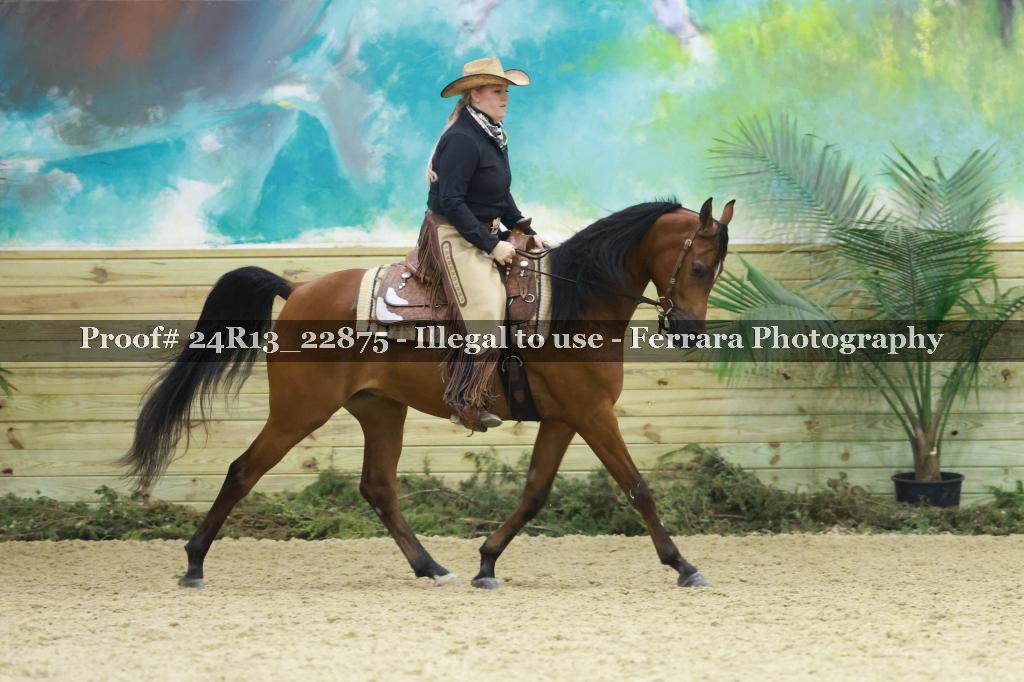 Proof 24R13_22875