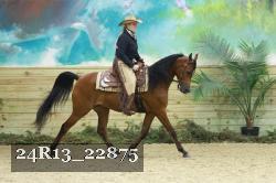 24R13_22875 proof