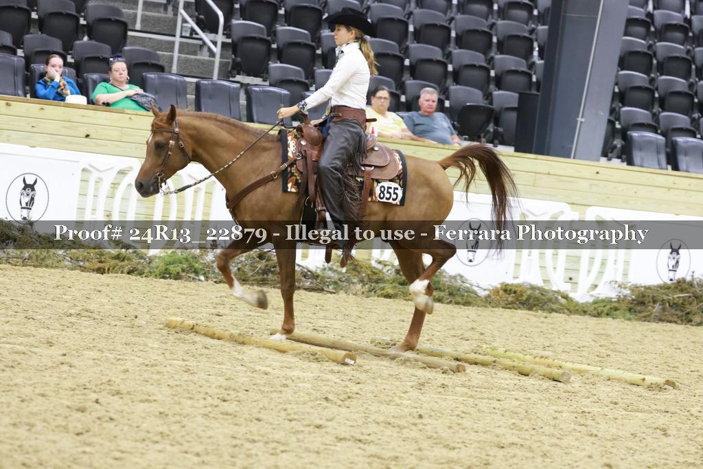 Proof 24R13_22879