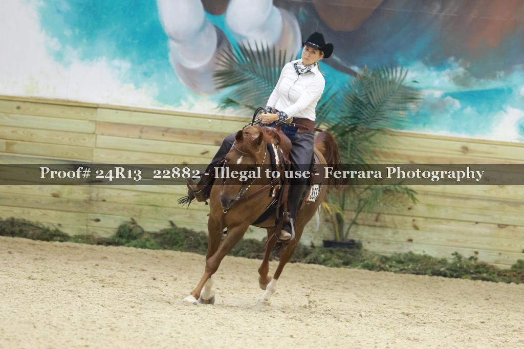Proof 24R13_22882